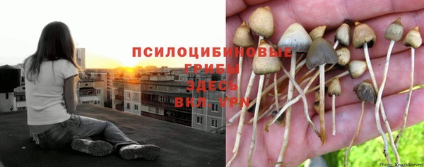 первитин Алзамай