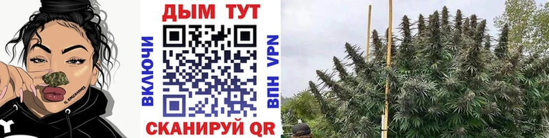 Купить закладки  Тейково  Бошки Шишки VHQ 